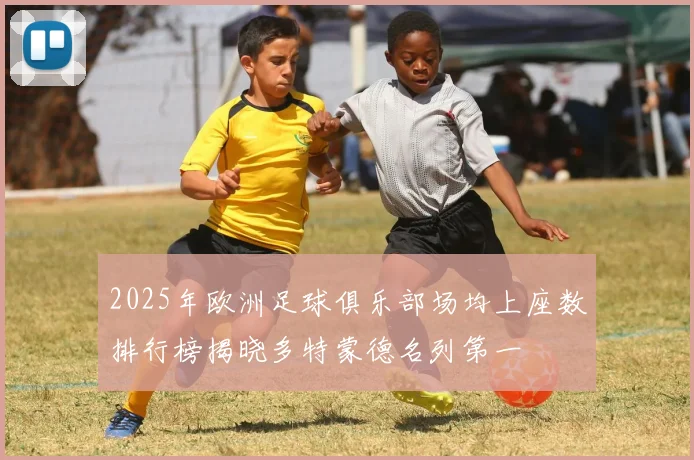 2025年欧洲足球俱乐部场均上座数排行榜揭晓多特蒙德名列第一