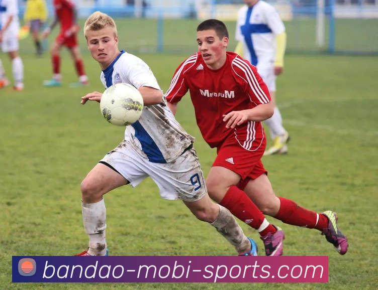 半岛体育APP 封面图